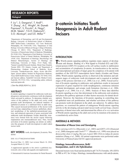 Β-Catenin Initiates Tooth Neogenesis in Adult Rodent Incisors 911