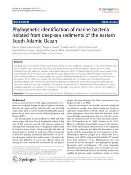 Phylogenetic Identification of Marine Bacteria Isolated from Deep-Sea