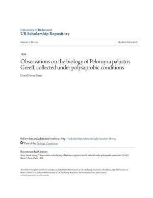 Observations on the Biology of Pelomyxa Palustris Greeff, Collected Under Polysaprobic Conditions Daniel Henry Stern