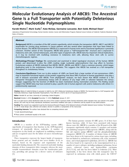 Molecular Evolutionary Analysis of ABCB5: the Ancestral Gene Is a Full Transporter with Potentially Deleterious Single Nucleotide Polymorphisms