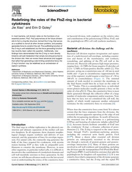 Redefining the Roles of the Ftsz-Ring in Bacterial Cytokinesis