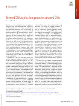 Stressed DNA Replication Generates Stressed DNA COMMENTARY Hannah L