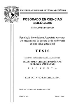 TESIS: Fenología Invertida En Jacquinia Nervosa: Un Mecanismo De Escape De La Herbivoría En Una Selva Estacional