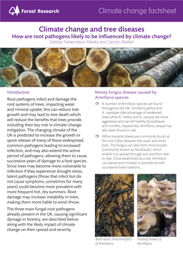 Factsheet: Climate Change and Tree Diseases
