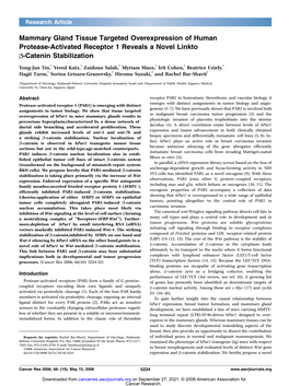 Mammary Gland Tissue Targeted Overexpression of Human Protease-Activated Receptor 1 Reveals a Novel Linkto B-Catenin Stabilization