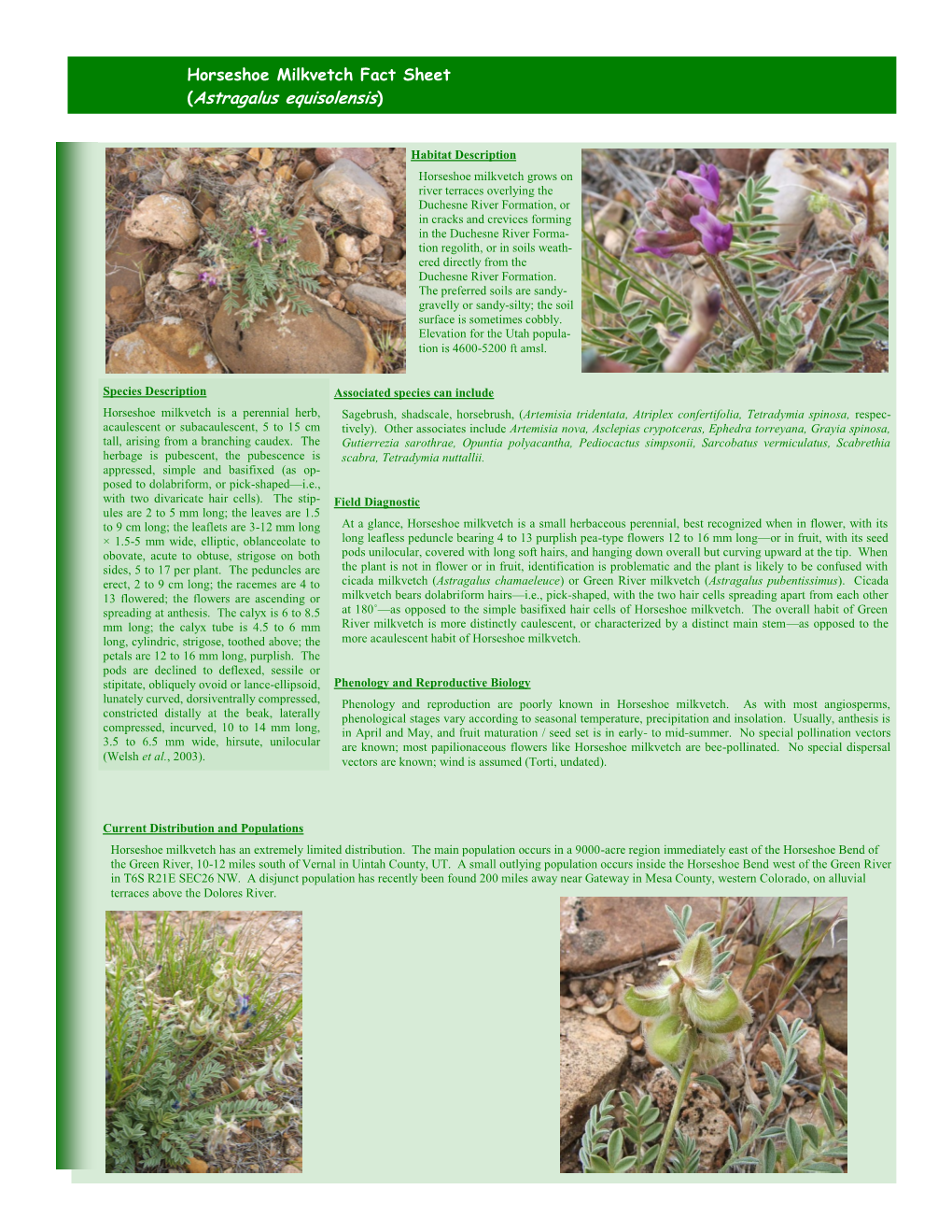 Horseshoe Milkvetch Fact Sheet (Astragalus Equisolensis)