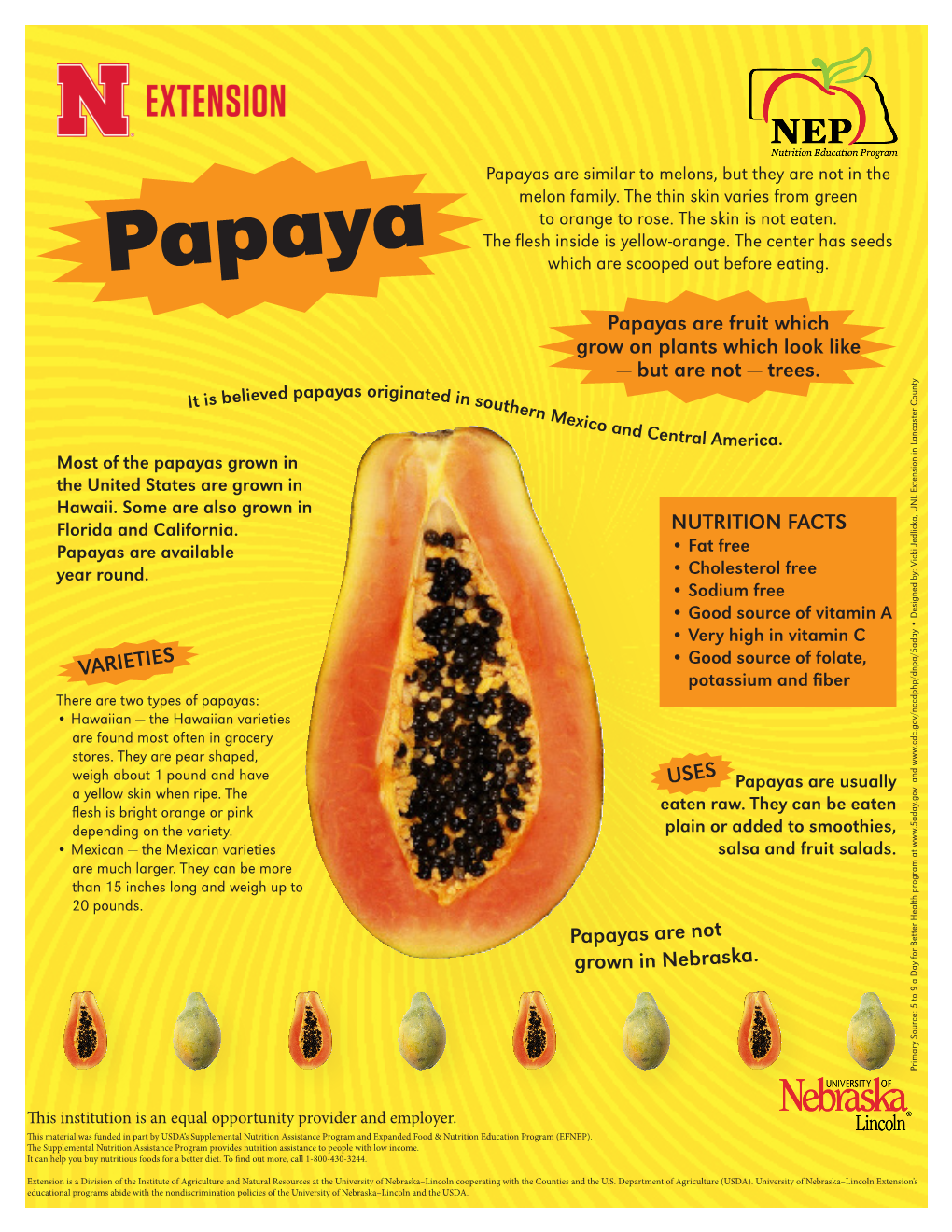 Papayas Are Similar to Melons, but They Are Not in the Melon Family
