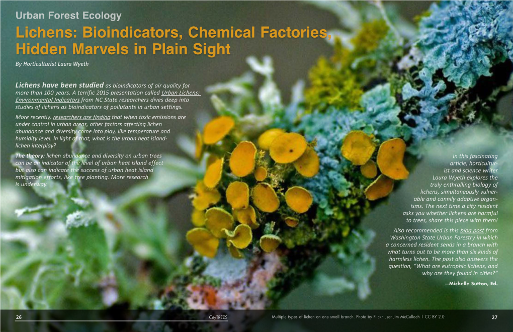 Lichens: Bioindicators, Chemical Factories, Hidden Marvels in Plain Sight by Horticulturist Laura Wyeth
