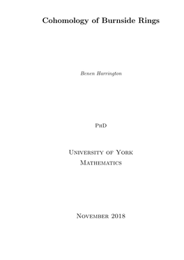 Cohomology of Burnside Rings