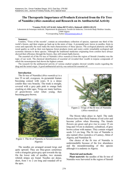 Abies Numidica) and Research on Its Antibacterial Activity