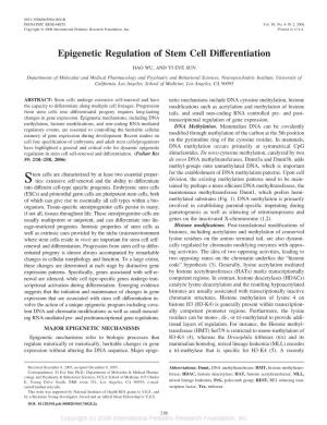 Epigenetic Regulation of Stem Cell Differentiation