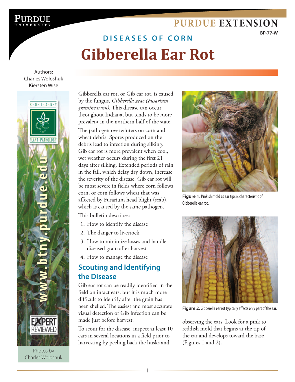 Gibberella Ear Rot Purdue Extension Purdue Extension BP-77-W Diseases of Corn Gibberella Ear Rot