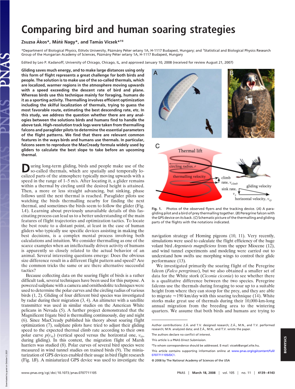 Comparing Bird and Human Soaring Strategies