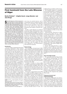 First Hominoid from the Late Miocene of Niger