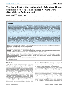 The Jaw Adductor Muscle Complex in Teleostean Fishes: Evolution, Homologies and Revised Nomenclature (Osteichthyes: Actinopterygii)