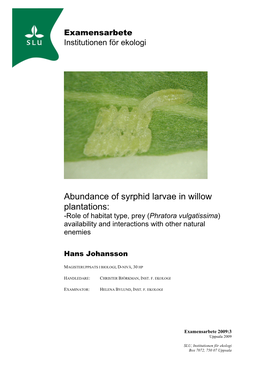 Abundance of Syrphid Larvae in Willow Plantations: -Role of Habitat Type, Prey ( Phratora Vulgatissima ) Availability and Interactions with Other Natural Enemies
