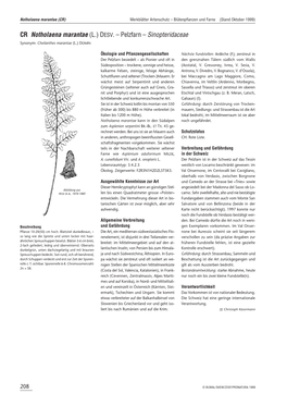 (L.) DESV. – Pelzfarn – Sinopteridaceae