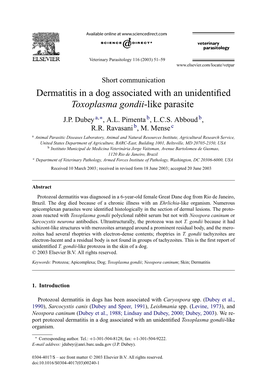 Toxoplasma Gondii-Like Parasite J.P