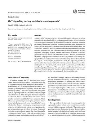 Ca2+ Signaling During Vertebrate Somitogenesis1