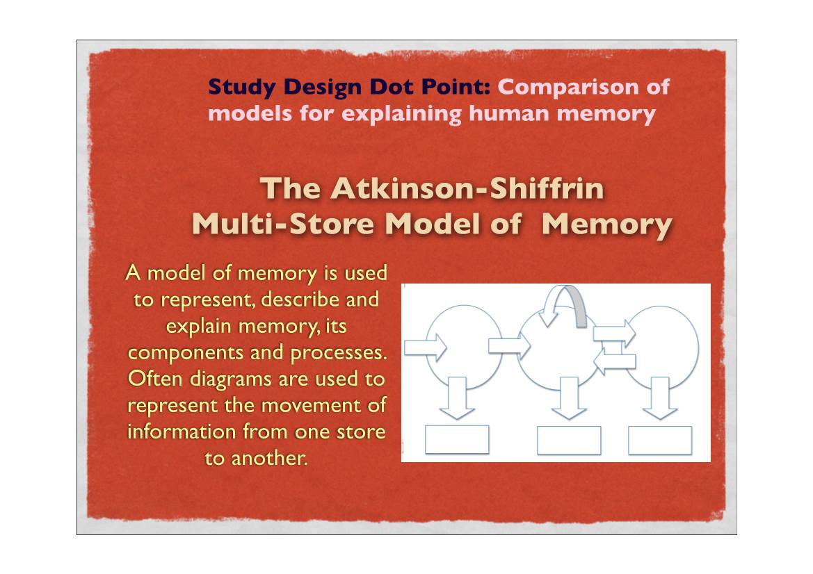 The Atkinson-Shiffrin Multi-Store Model of Memory a Model of Memory Is Used to Represent, Describe and Explain Memory, Its Components and Processes