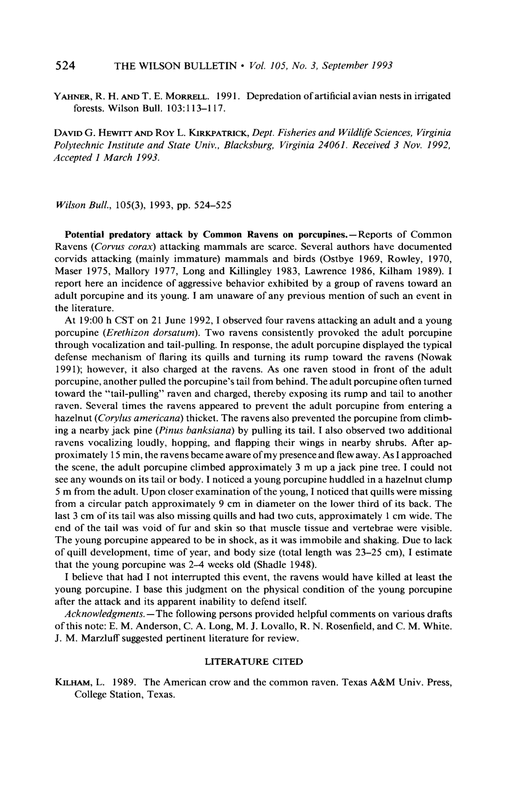 Potential Predatory Attack by Common Ravens on Porcupines.-Reports of Common Ravens (Corvus Corax) Attacking Mammals Are Scarce