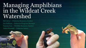 Managing Amphibians in the Wildcat Creek Watershed
