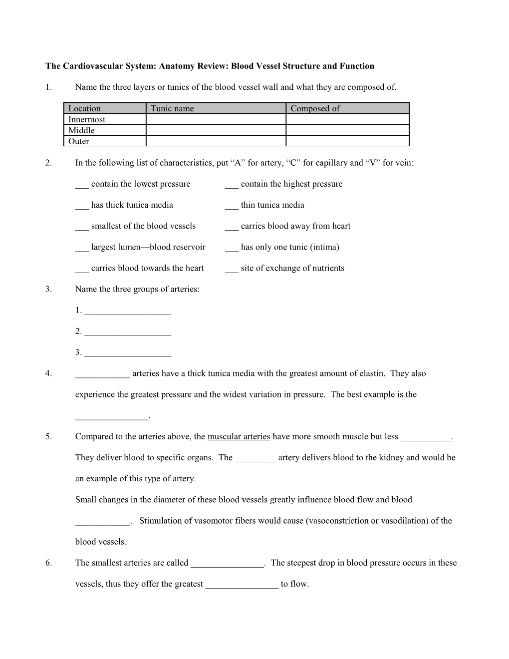 IP Exercise Sheet