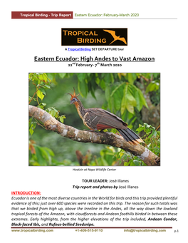 Eastern Ecuador: February-March 2020