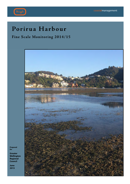 Porirua Harbour Fine Scale Monitoring 2014/15