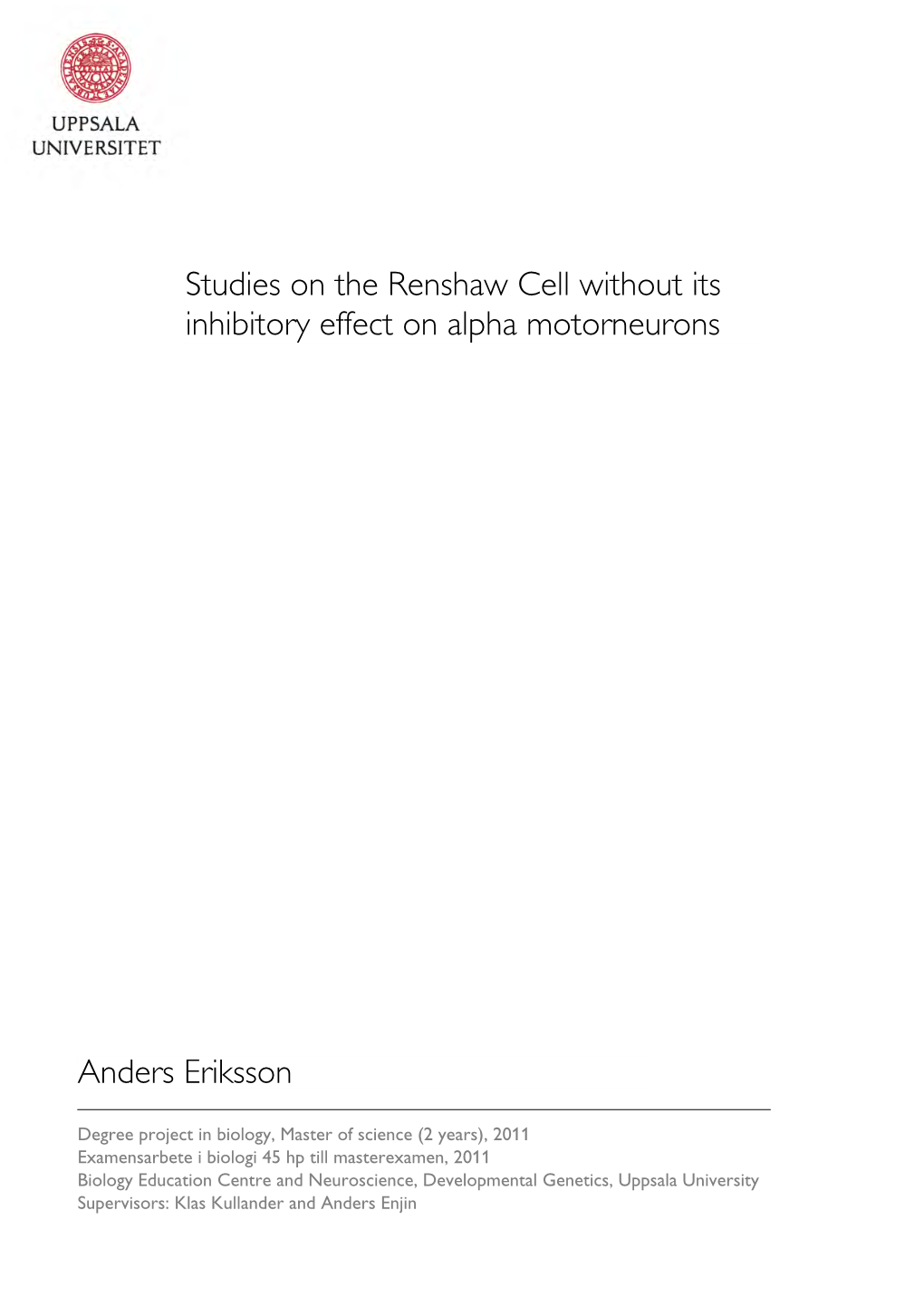 Studies on the Renshaw Cell Without Its Inhibitory Effect on Alpha Motorneurons