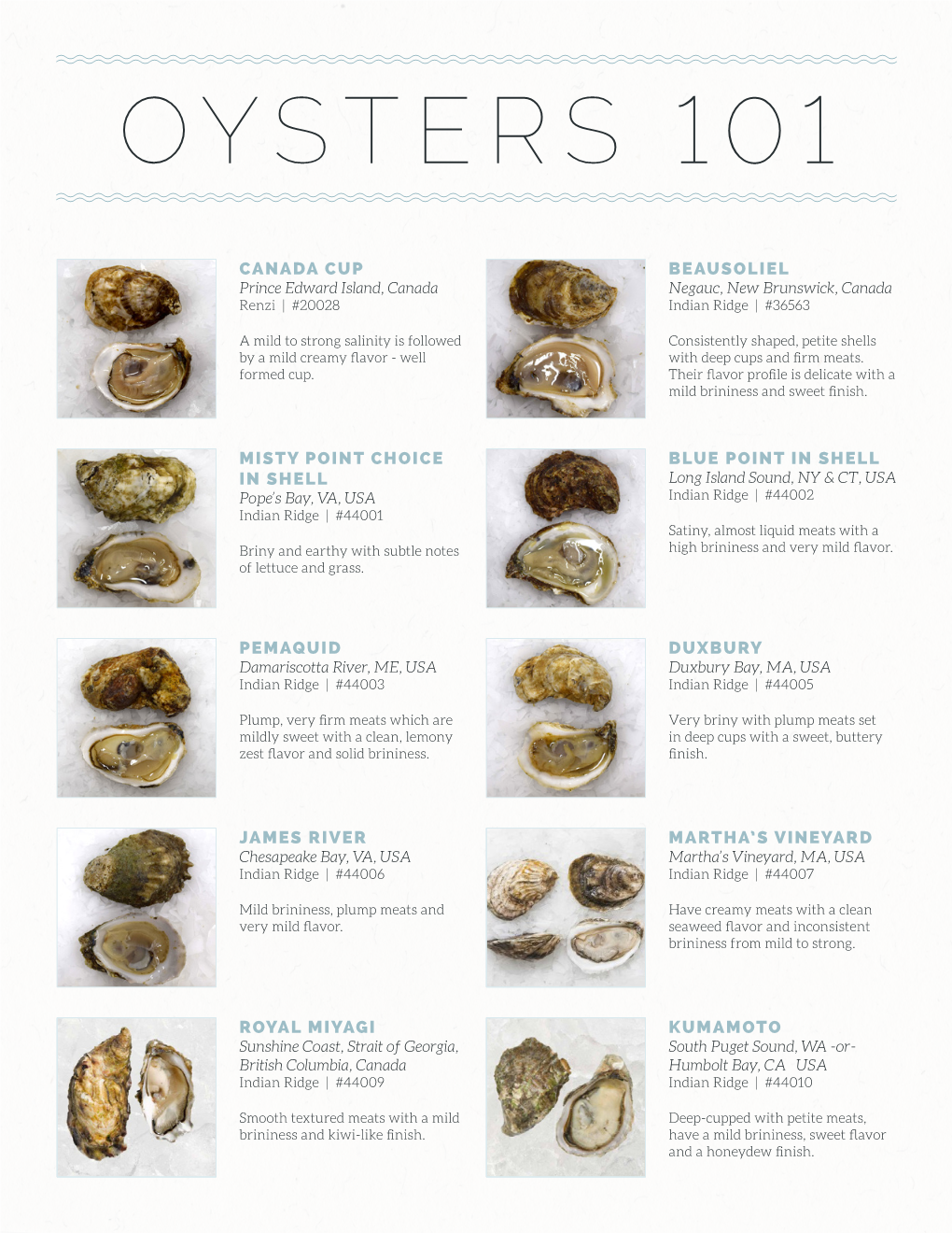 Oyster Guide