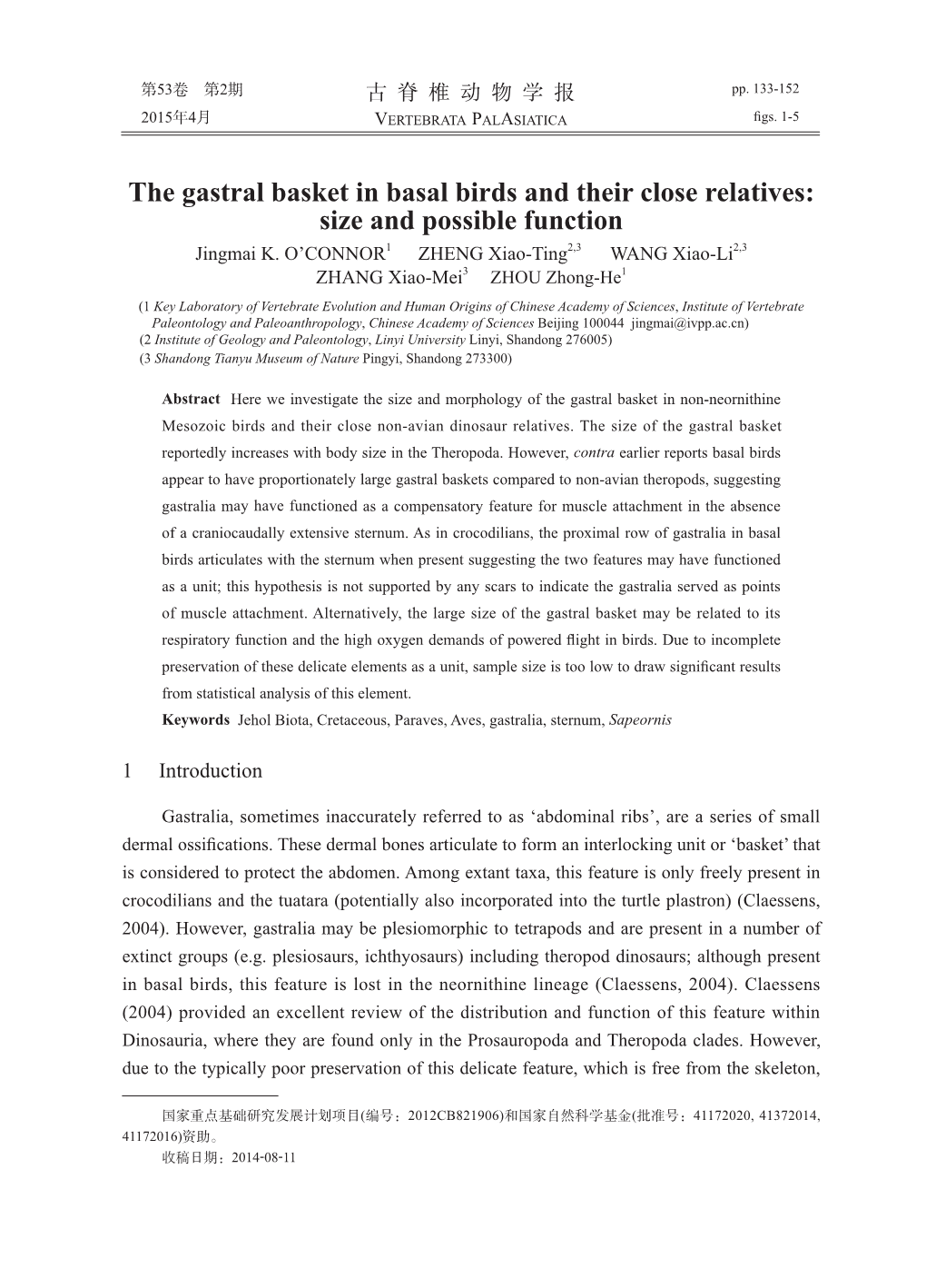 The Gastral Basket in Basal Birds and Their Close Relatives: Size and Possible Function Jingmai K