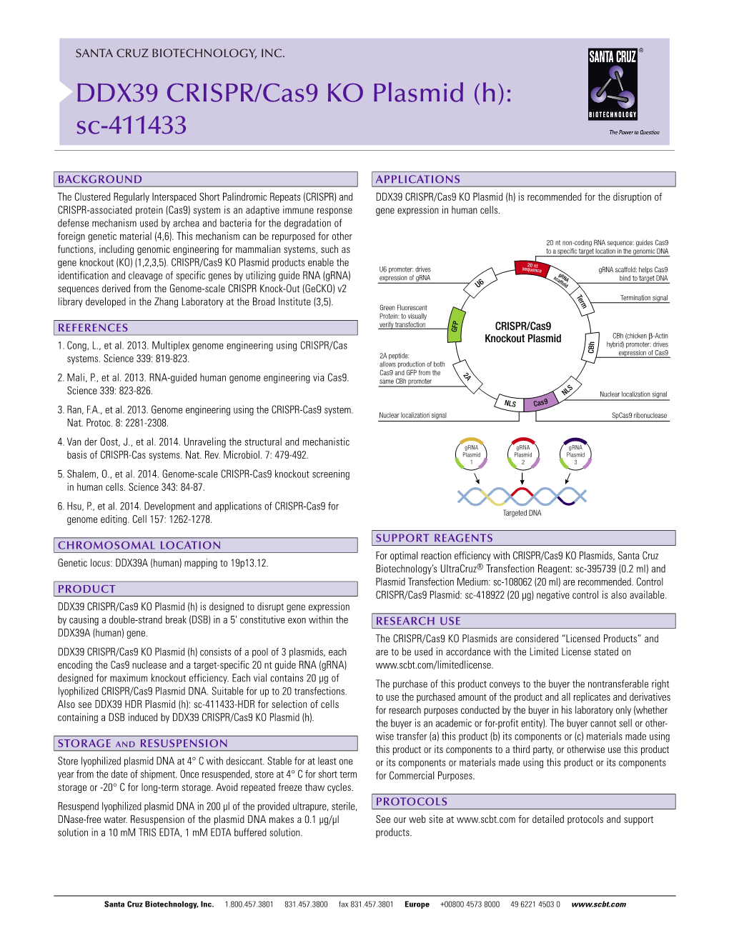 DDX39 CRISPR/Cas9 KO Plasmid (H): Sc-411433