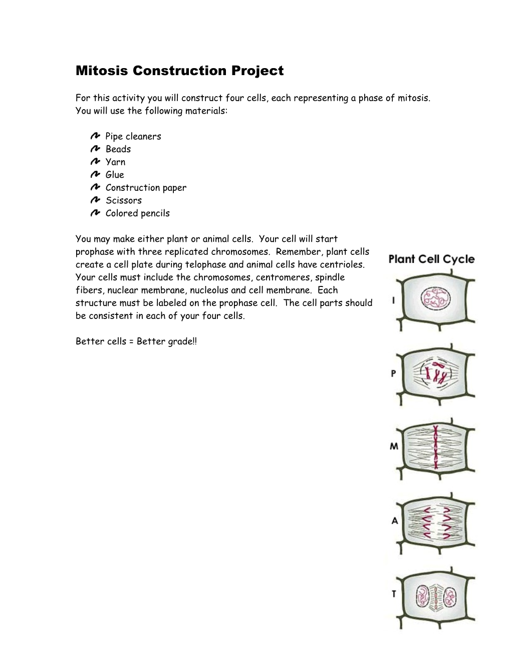 Mitosis Construction Project