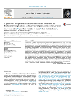 A Geometric Morphometric Analysis of Hominin Lower Molars: Evolutionary Implications and Overview of Postcanine Dental Variation