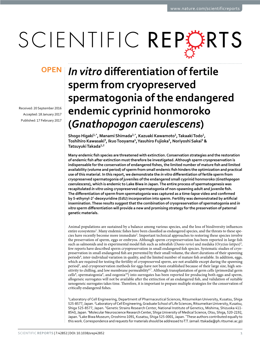 In Vitro Differentiation of Fertile Sperm from Cryopreserved