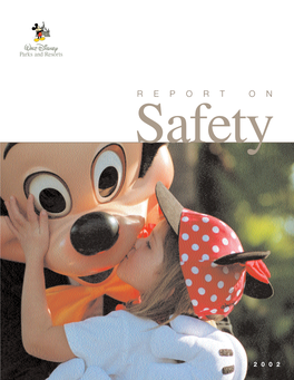 REPORT on Safety