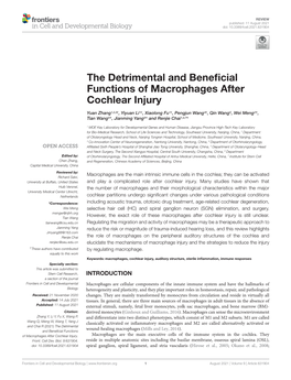 The Detrimental and Beneficial Functions of Macrophages After