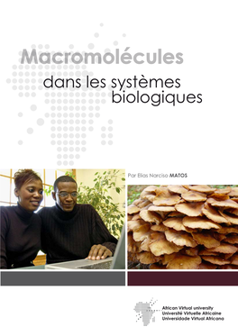 Macromolécules Dans Les Systèmes Biologiques