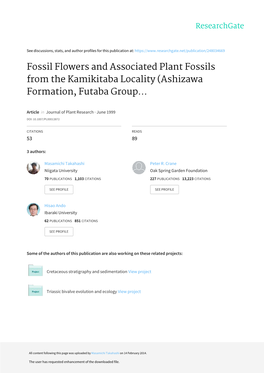 Fossil Flowers and Associated Plant Fossils from the Kamikitaba Locality (Ashizawa Formation, Futaba Group