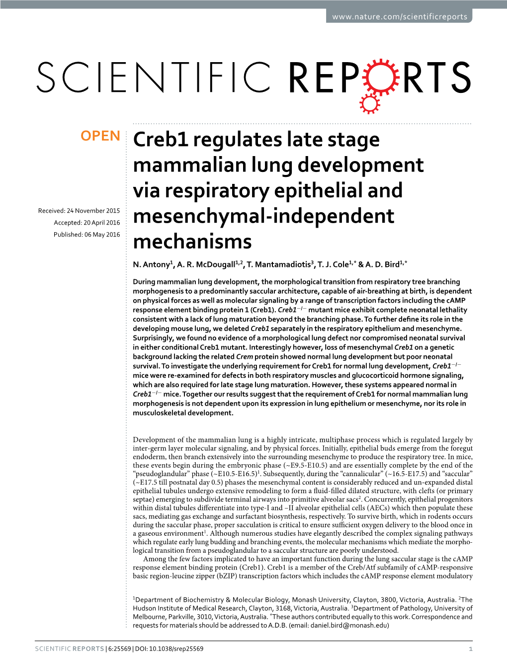 Creb1 Regulates Late Stage Mammalian Lung