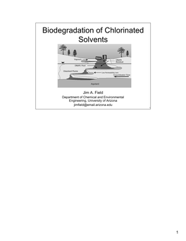Biodegradation of Chlorinated Solvents Biodegradation Of
