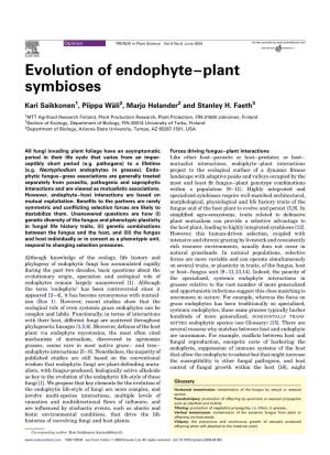 Evolution of Endophyte–Plant Symbioses