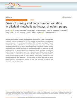 Gene Clustering and Copy Number Variation in Alkaloid Metabolic Pathways of Opium Poppy