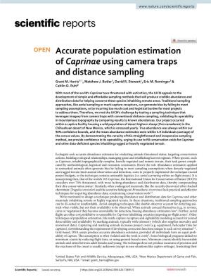 Accurate Population Estimation of Caprinae Using Camera Traps and Distance Sampling Grant M