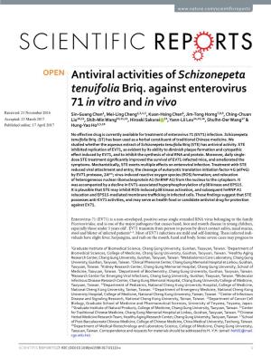 Antiviral Activities of Schizonepeta Tenuifolia Briq. Against Enterovirus