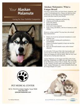 Alaskan Malamutes: What a Unique Breed! PET MEDICAL CENTER