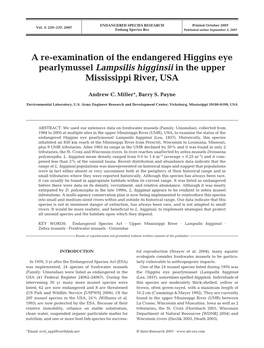 A Re-Examination of the Endangered Higgins Eye Pearlymussel Lampsilis Higginsii in the Upper Mississippi River, USA