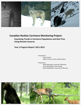 Canadian Rockies Carnivore Monitoring Project: Examining Trends in Carnivore Populations and Their Prey Using Remote Cameras