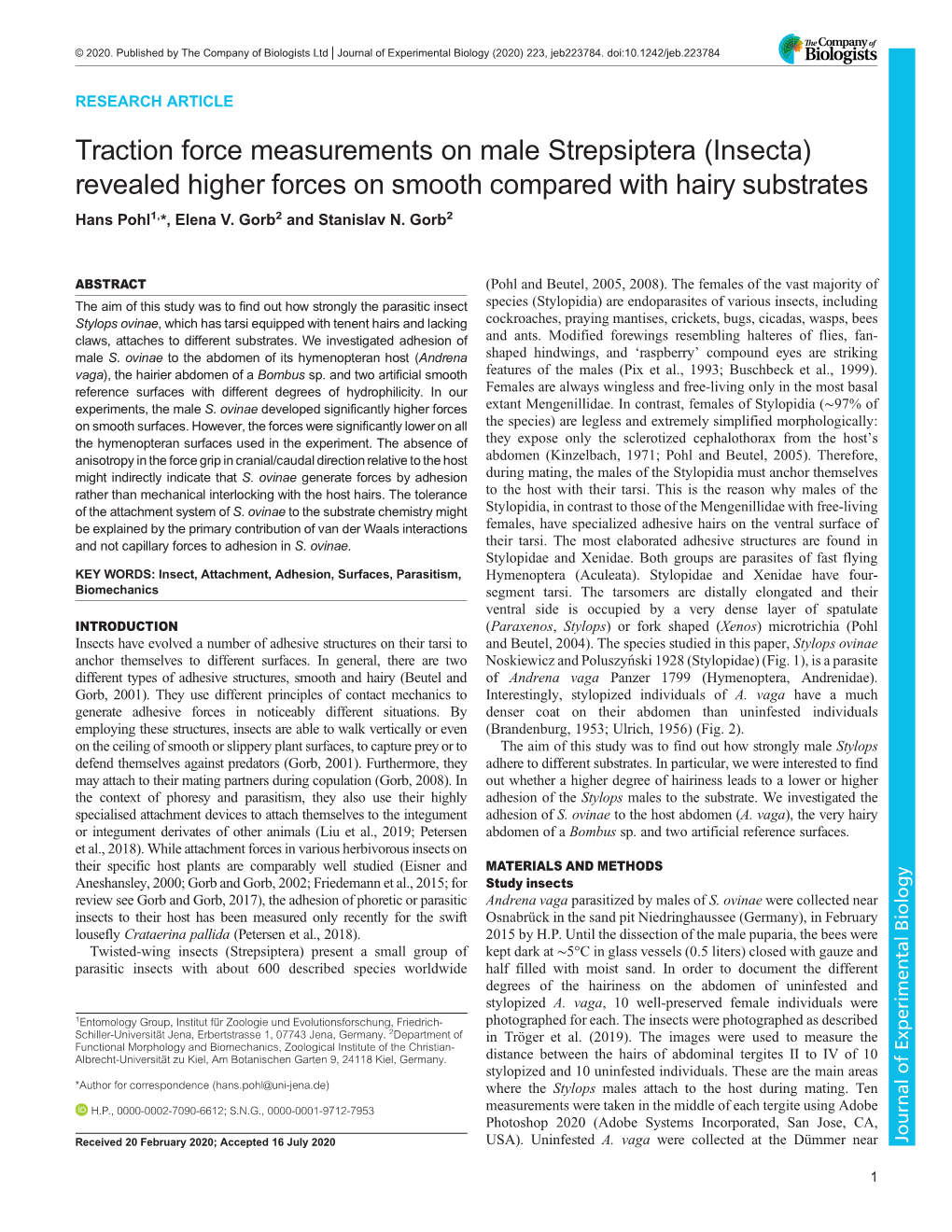 Traction Force Measurements on Male Strepsiptera (Insecta) Revealed Higher Forces on Smooth Compared with Hairy Substrates Hans Pohl1,*, Elena V